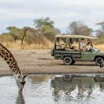 Gallery Thumbnail 1
