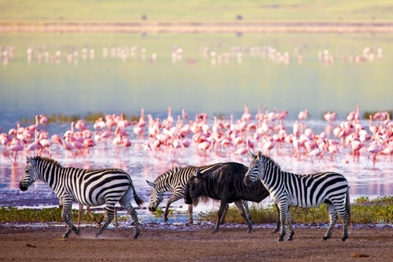 5 Days 4 Nights Safari From Zanzibar: Tarangire, Lake Manyara, Ngorongoro & Lake Natron