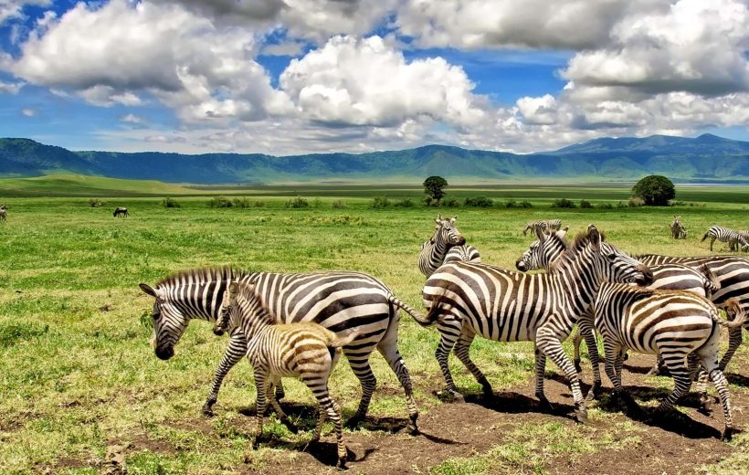 3 Days 2 Nights Safari From Zanzibar: Tarangire & Ngorongoro