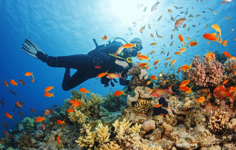 Zanzibar Diving