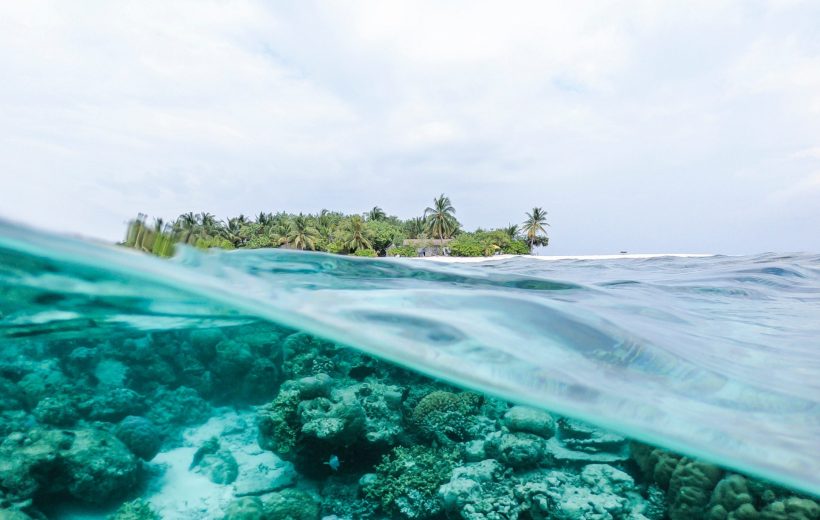 Misali Island Snorkeling