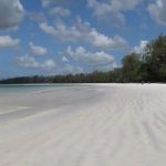 Gallery Thumbnail 2